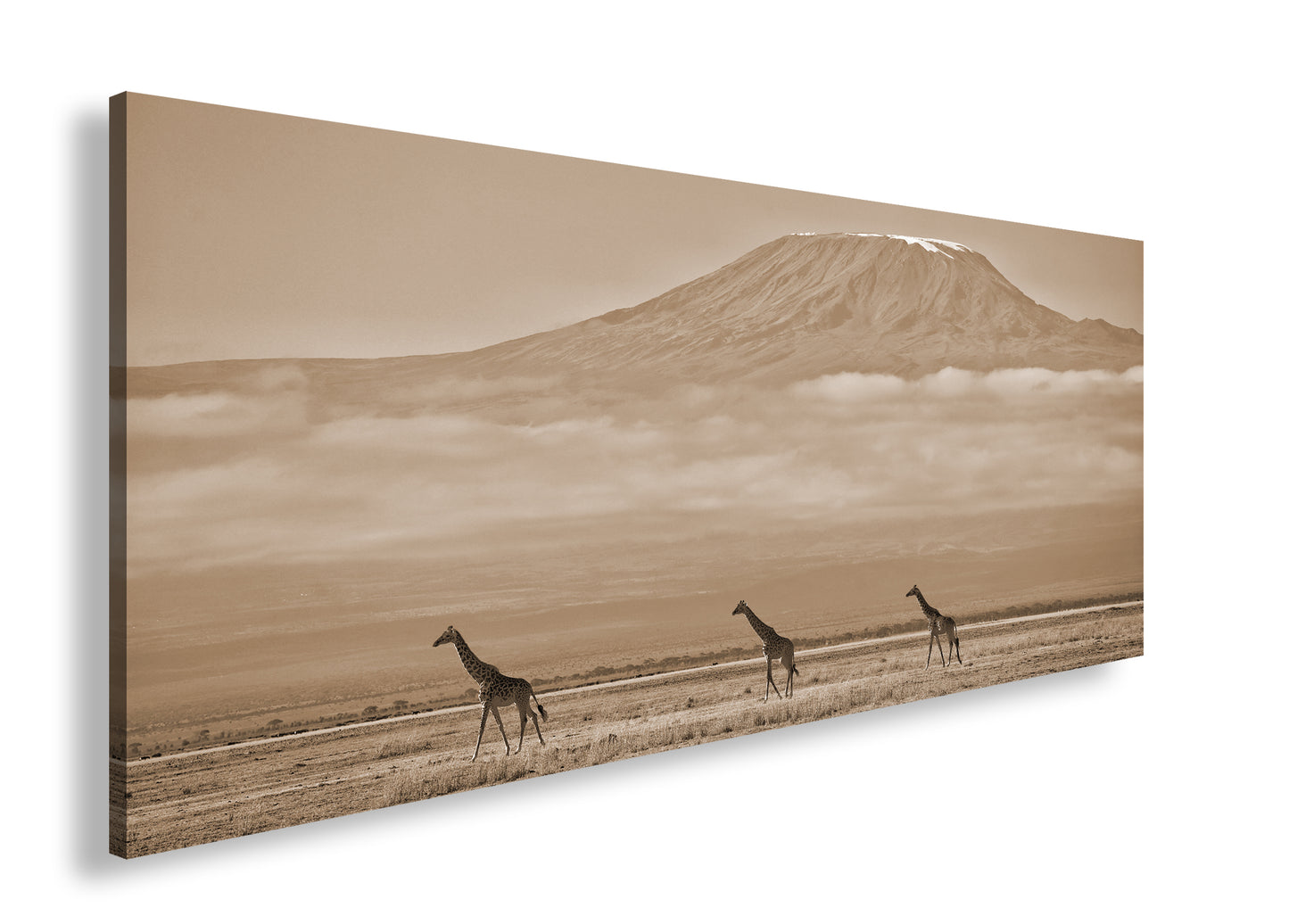 Hauptbild Sepia Panorama