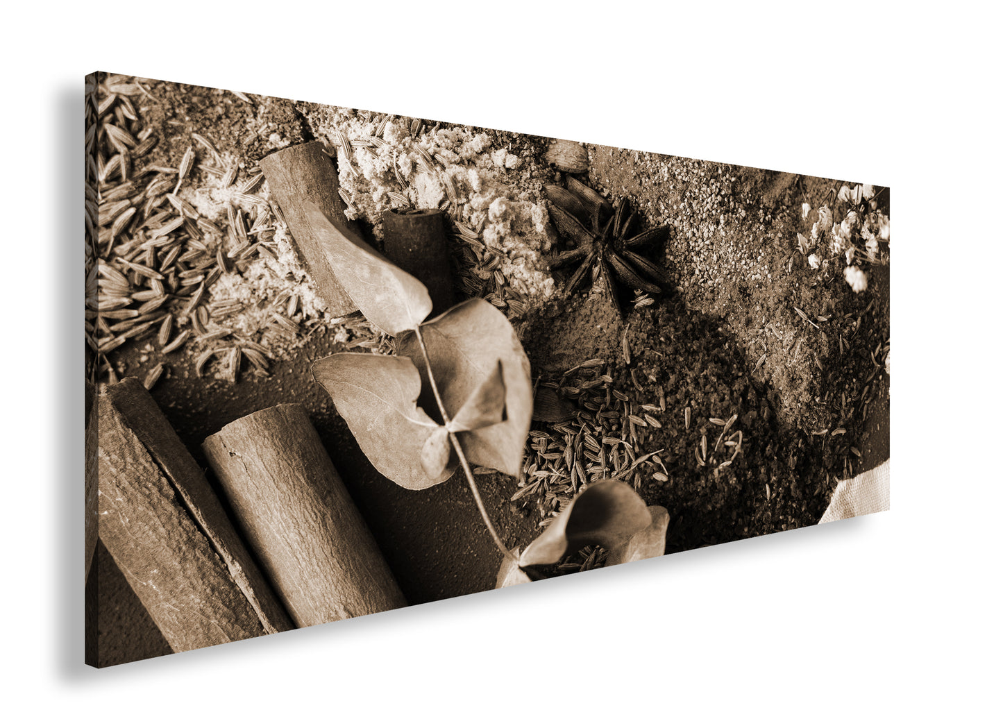 Hauptbild Sepia Panorama