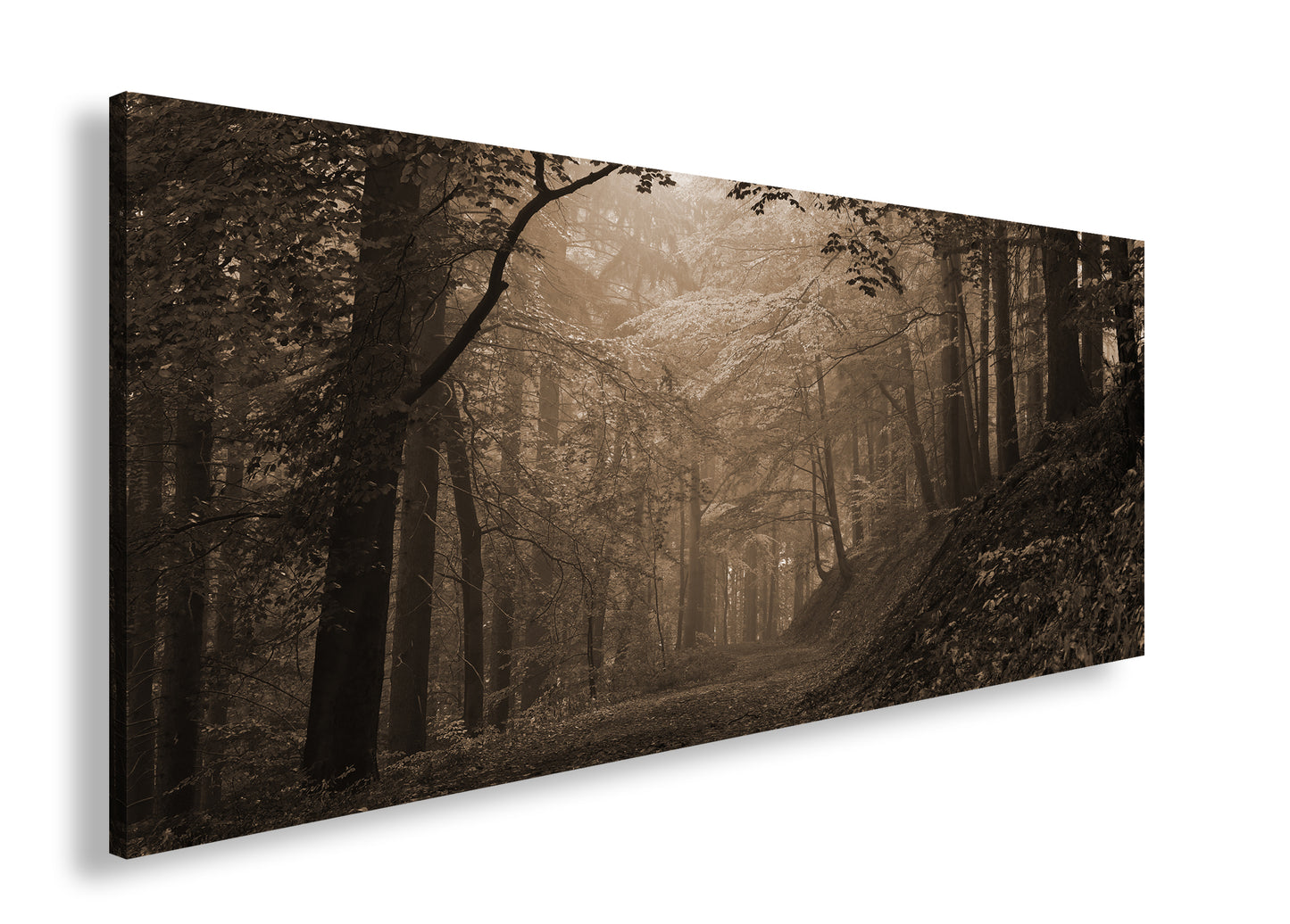 Hauptbild Sepia Panorama