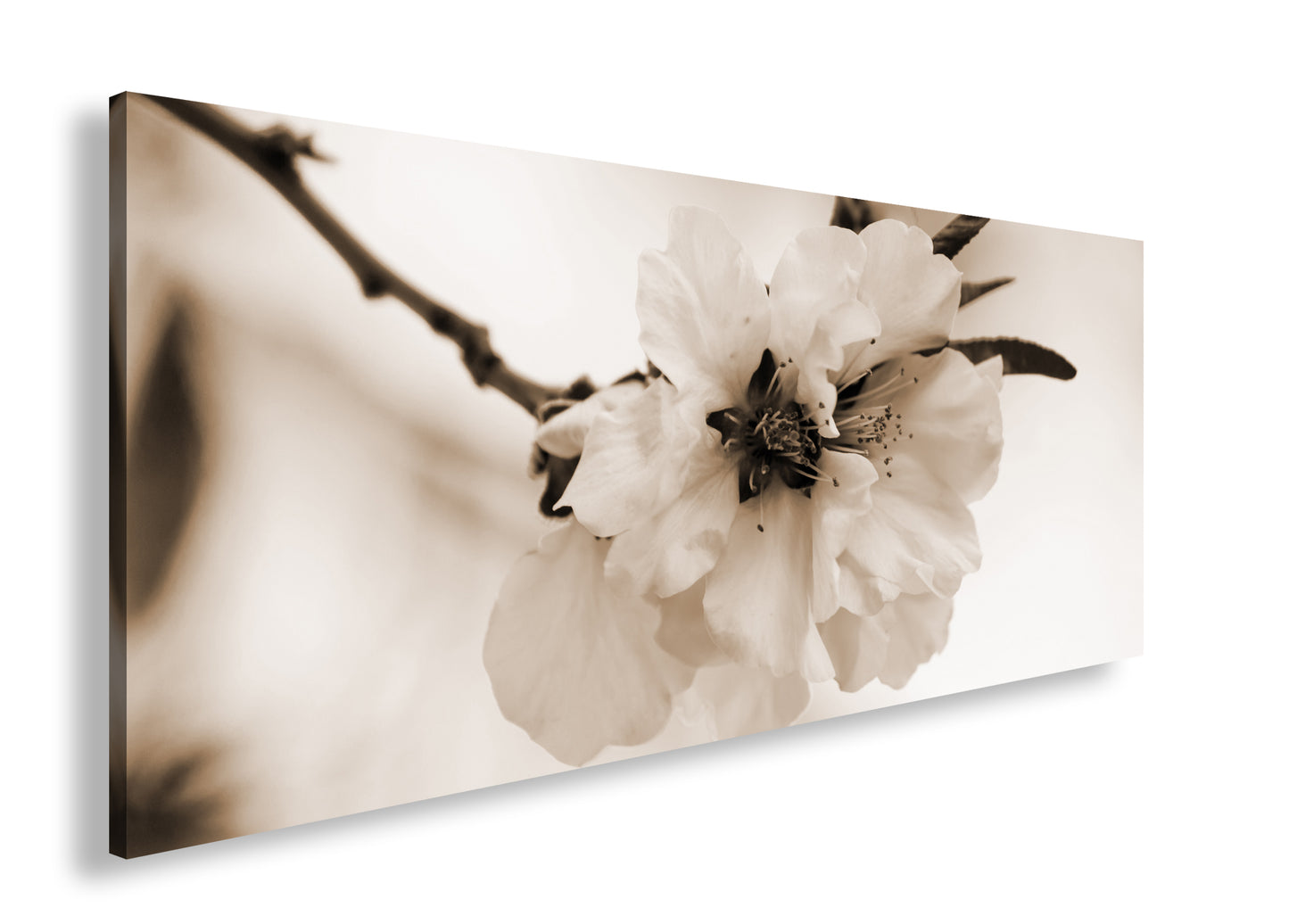 Hauptbild Sepia Panorama