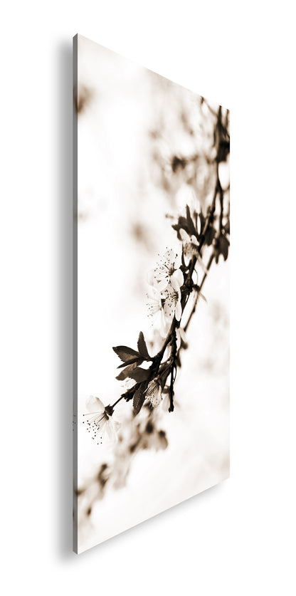 Hauptbild Sepia Panorama