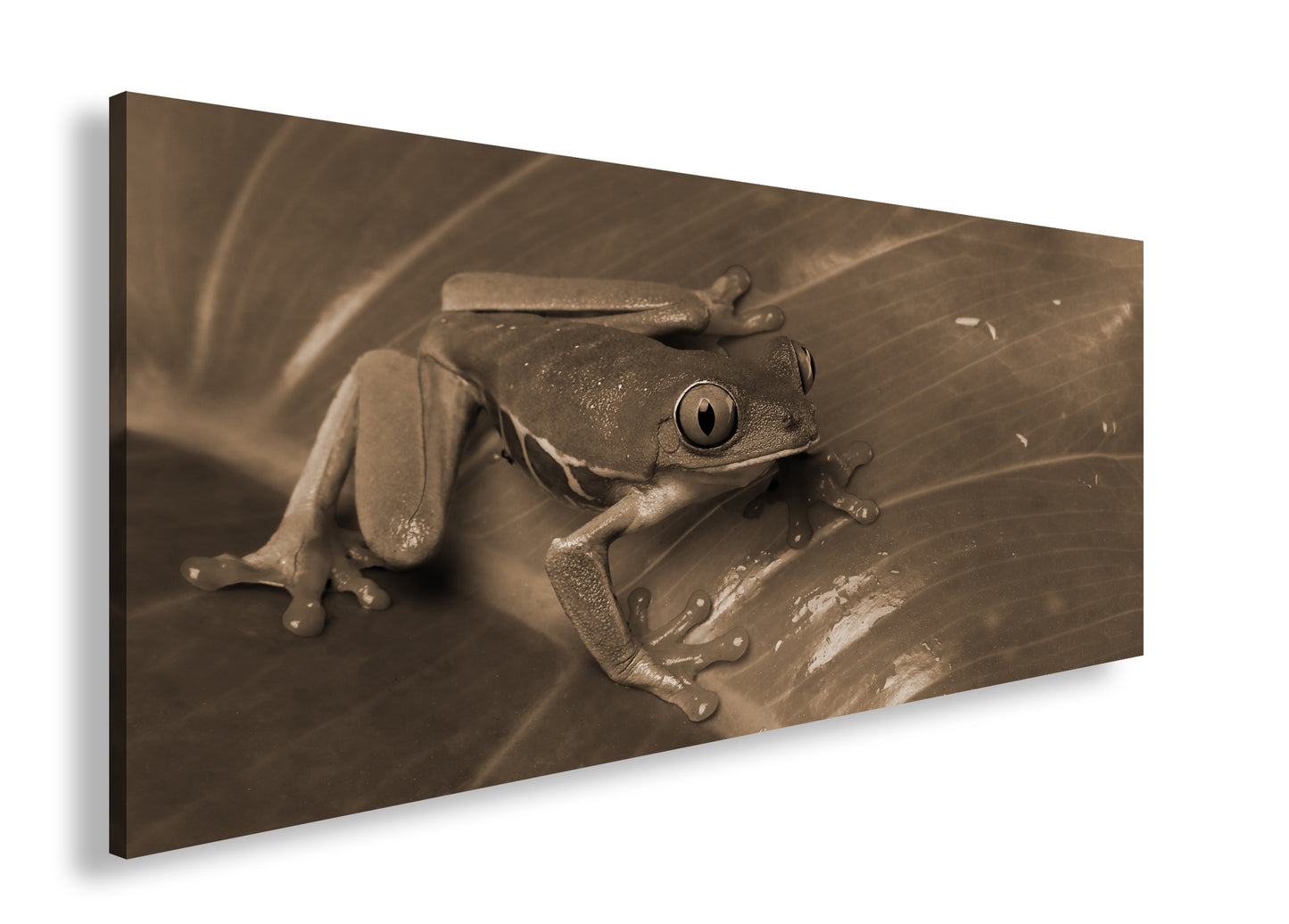 Hauptbild Sepia Panorama