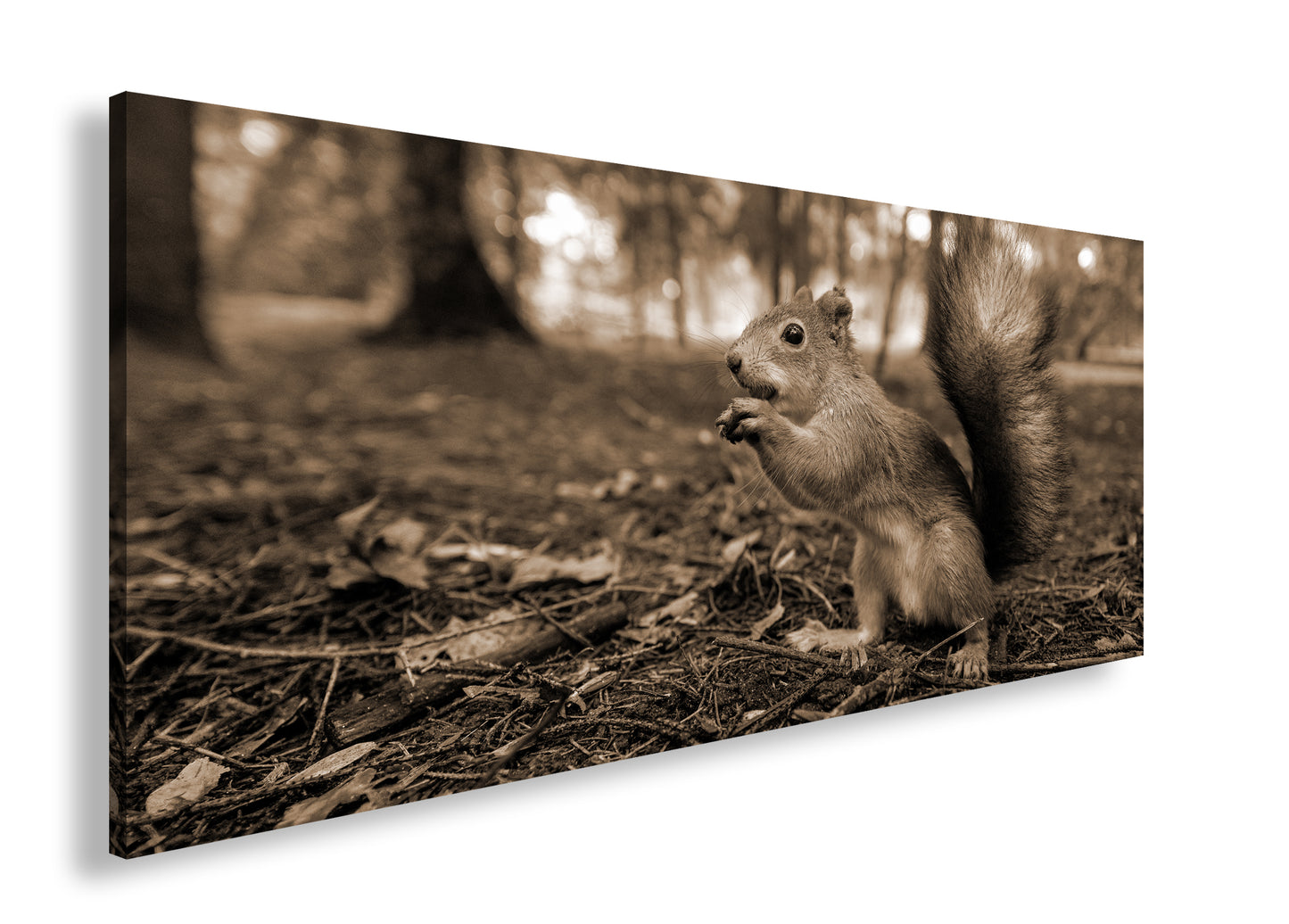 Hauptbild Sepia Panorama
