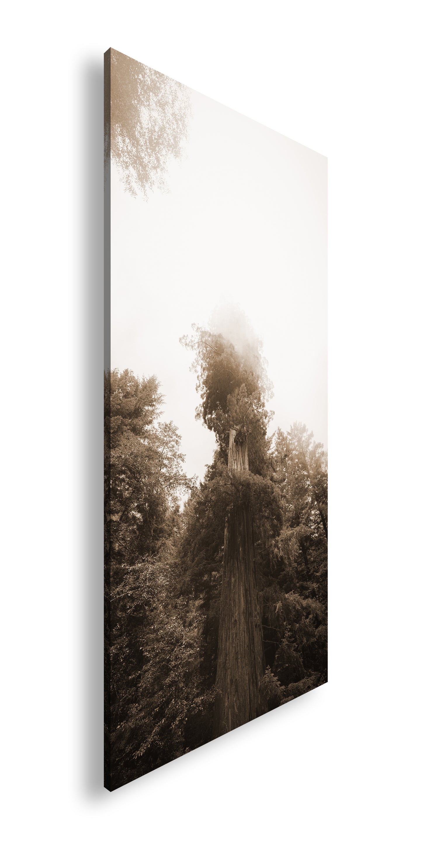 Hauptbild Sepia Panorama