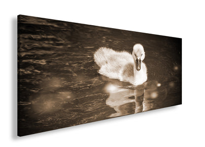 Hauptbild Sepia Panorama