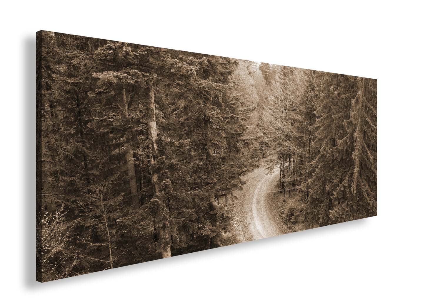 Hauptbild Sepia Panorama