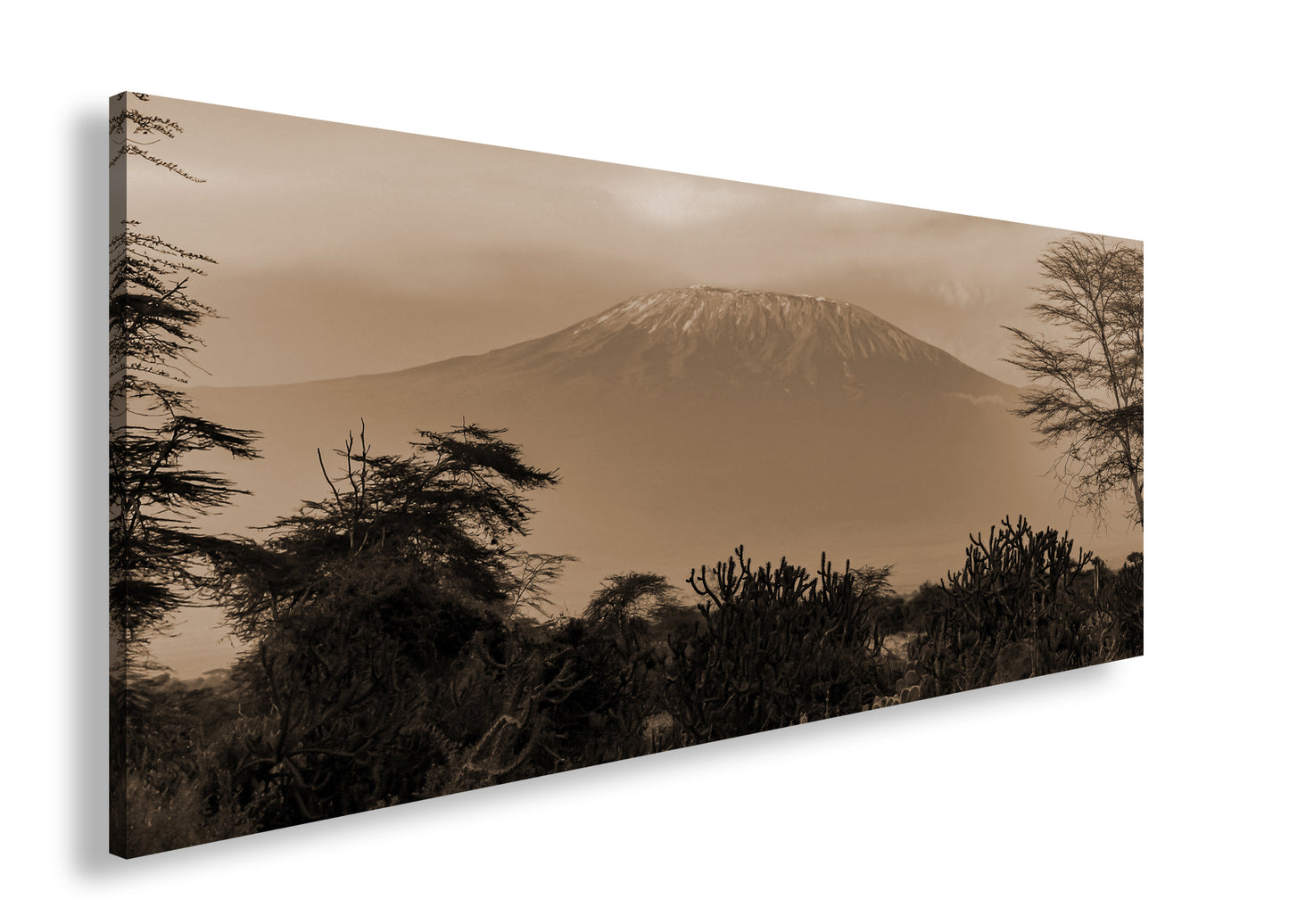 Hauptbild Sepia Panorama