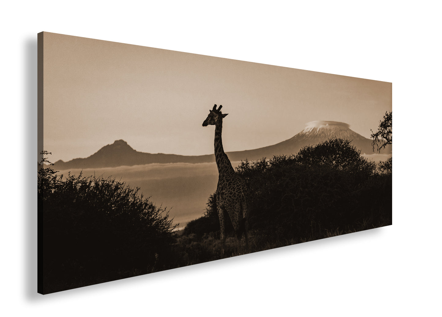 Hauptbild Sepia Panorama