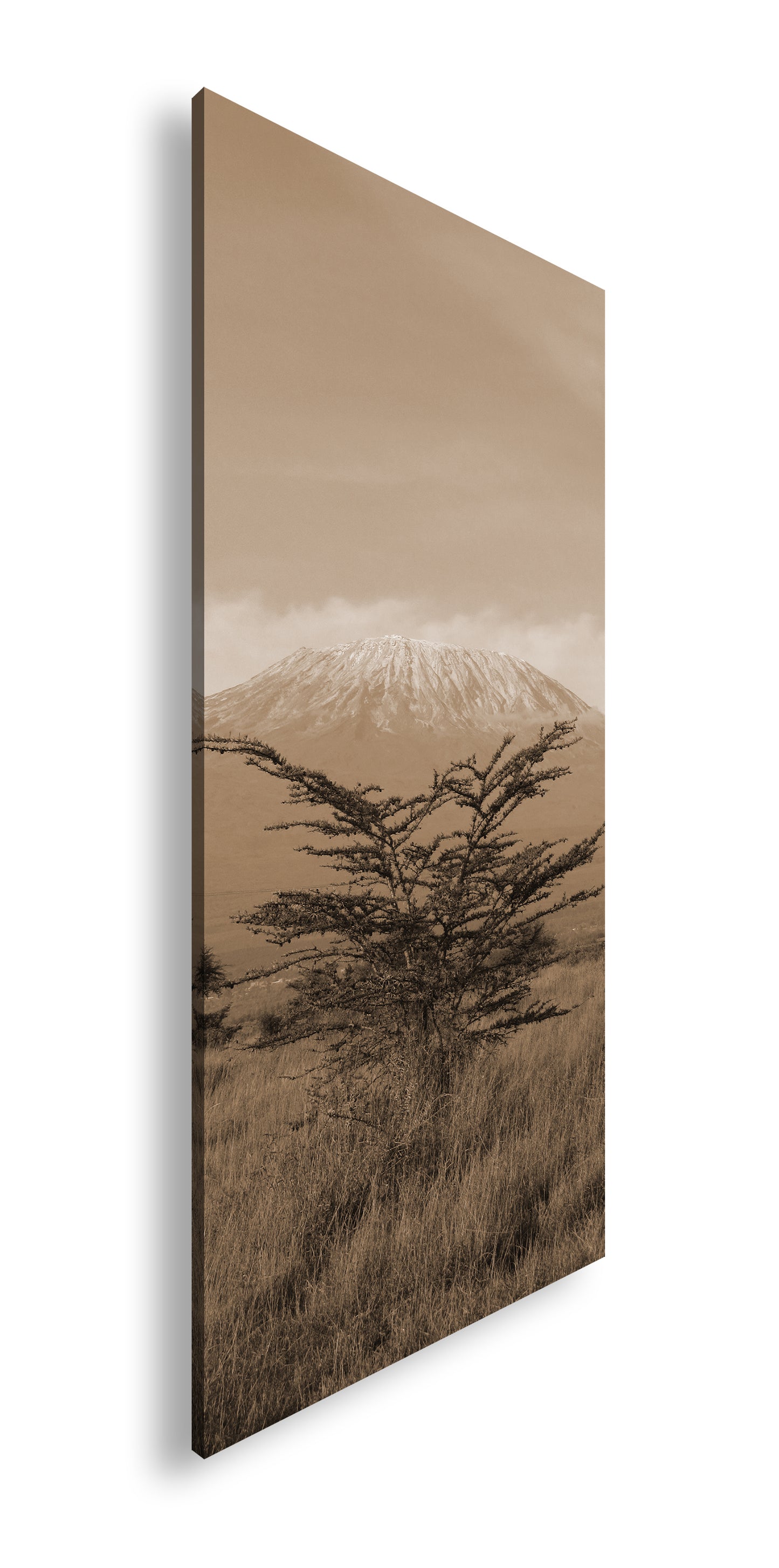 Hauptbild Sepia Panorama