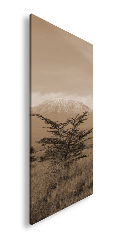 Hauptbild Sepia Panorama