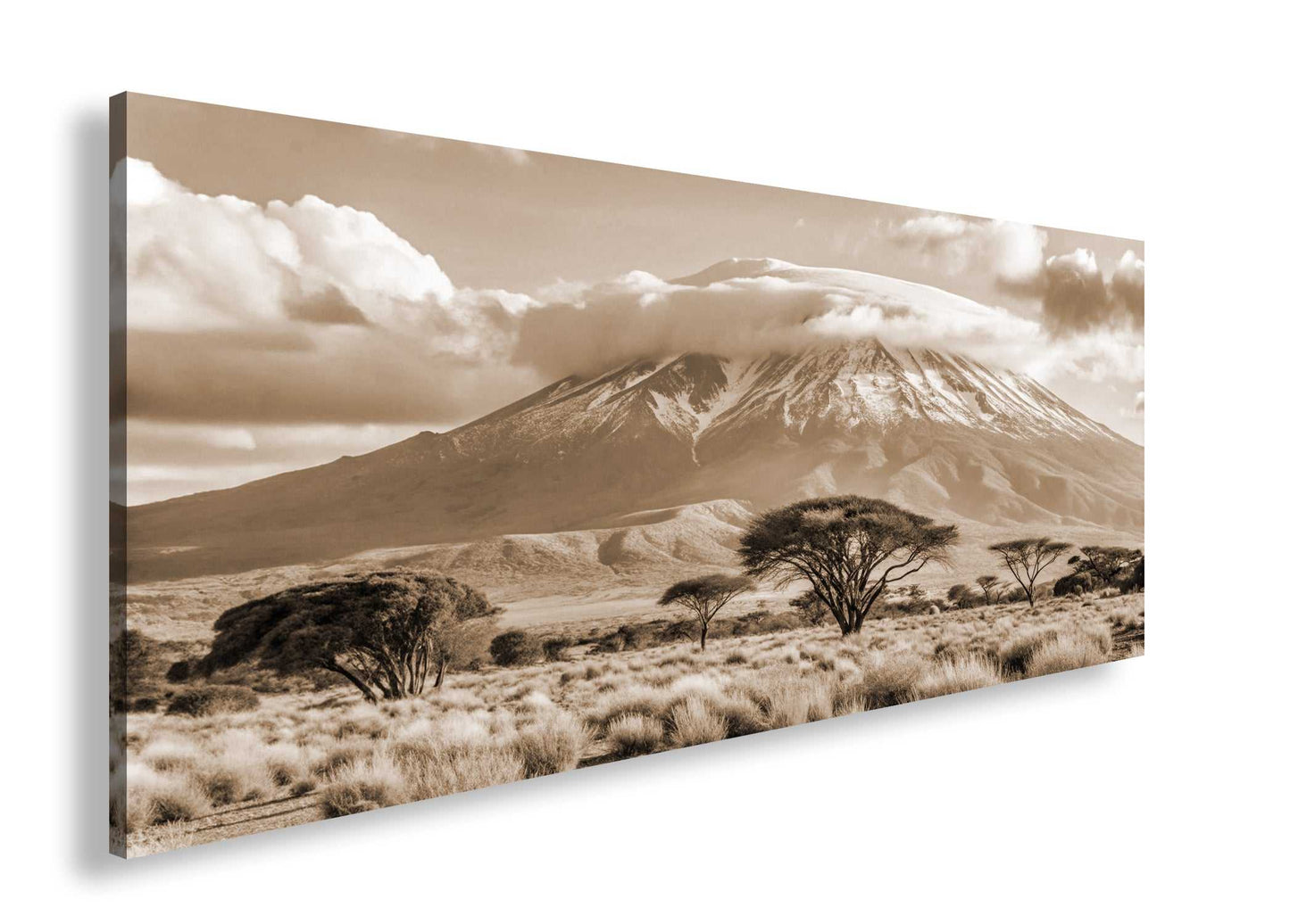 Hauptbild Sepia Panorama