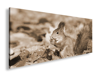 Hauptbild Sepia Panorama