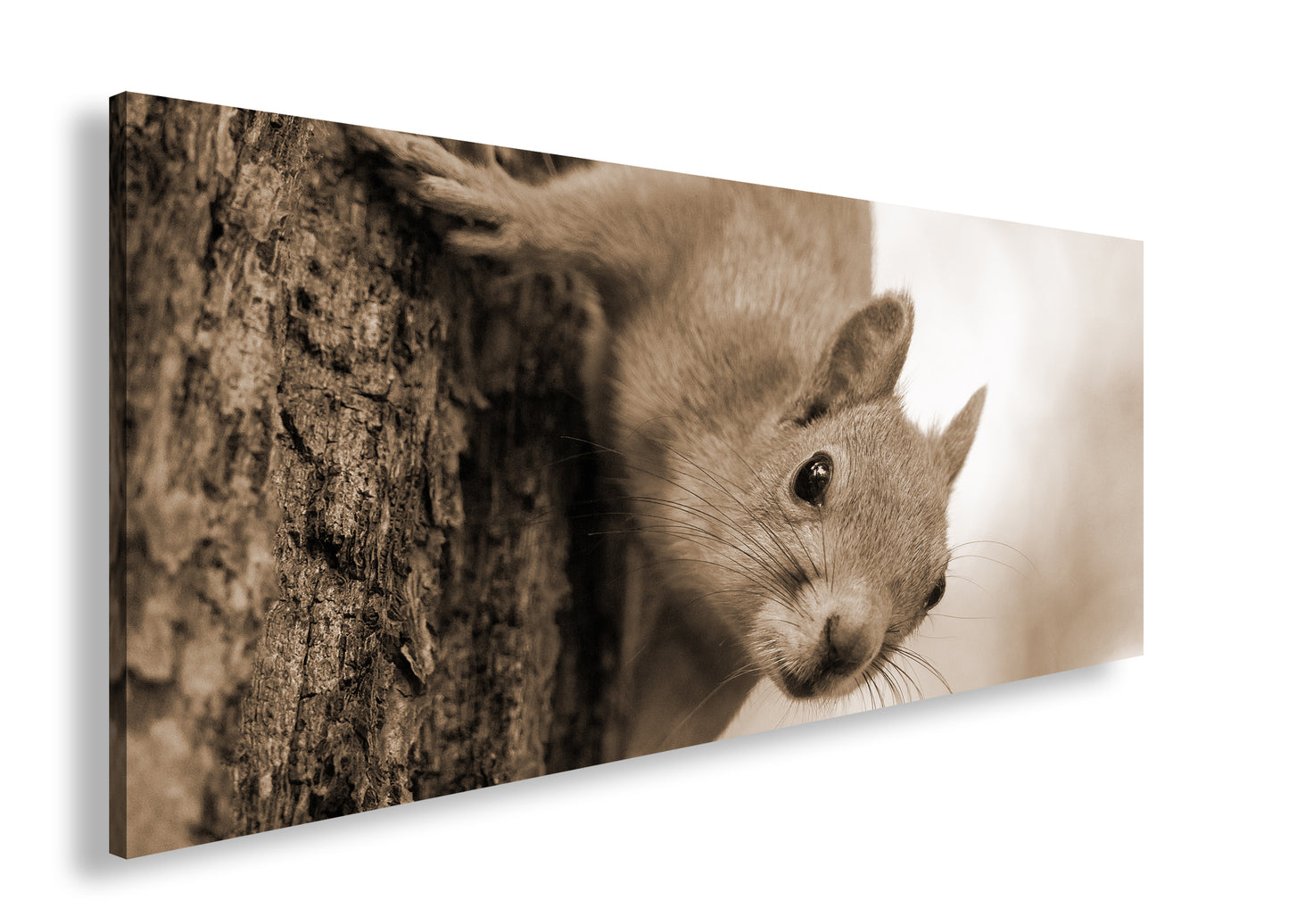 Hauptbild Sepia Panorama