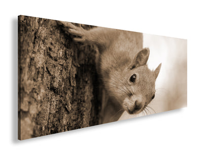 Hauptbild Sepia Panorama