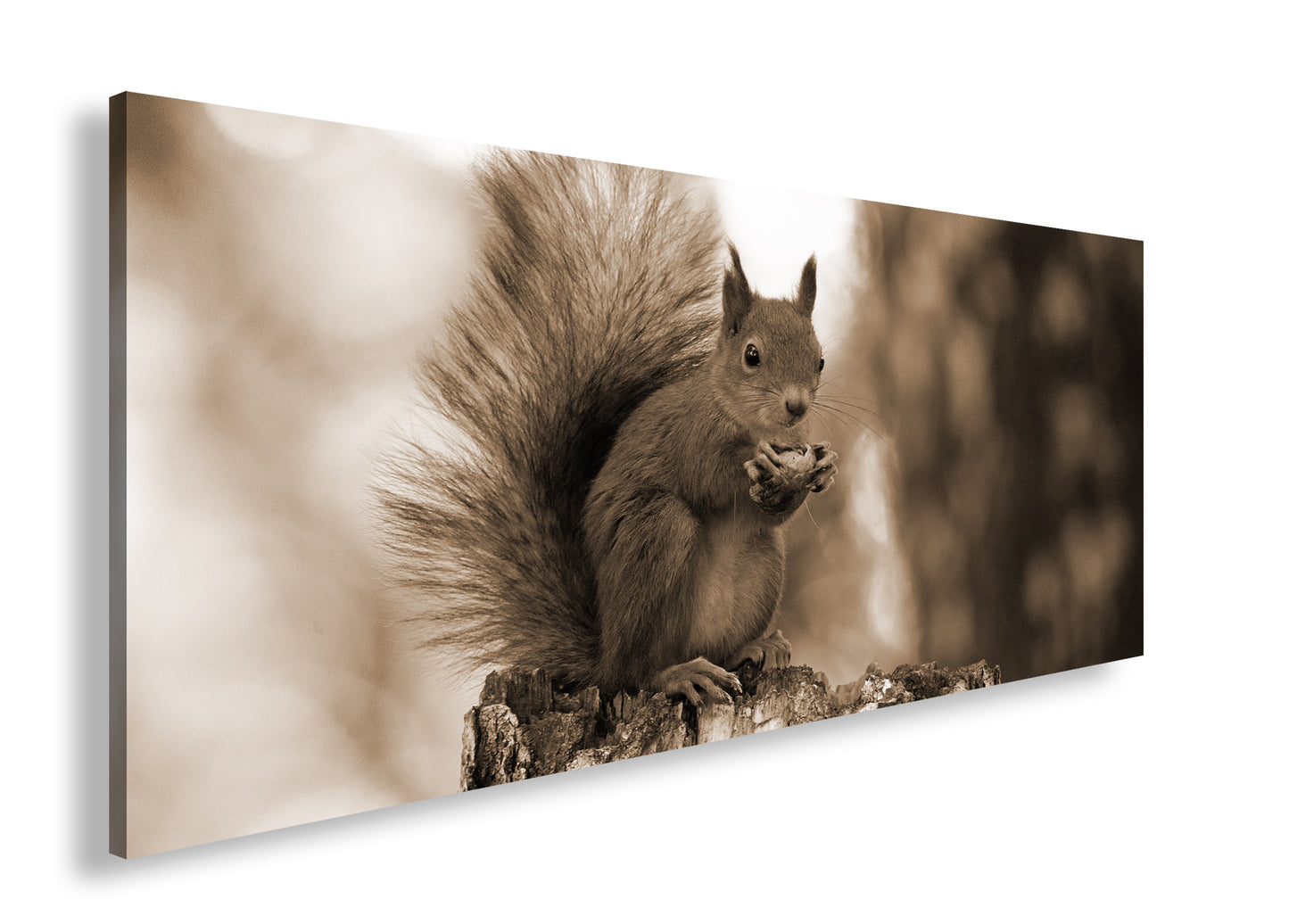 Hauptbild Sepia Panorama