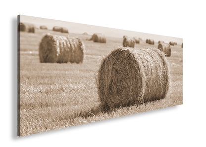 Hauptbild Sepia Panorama