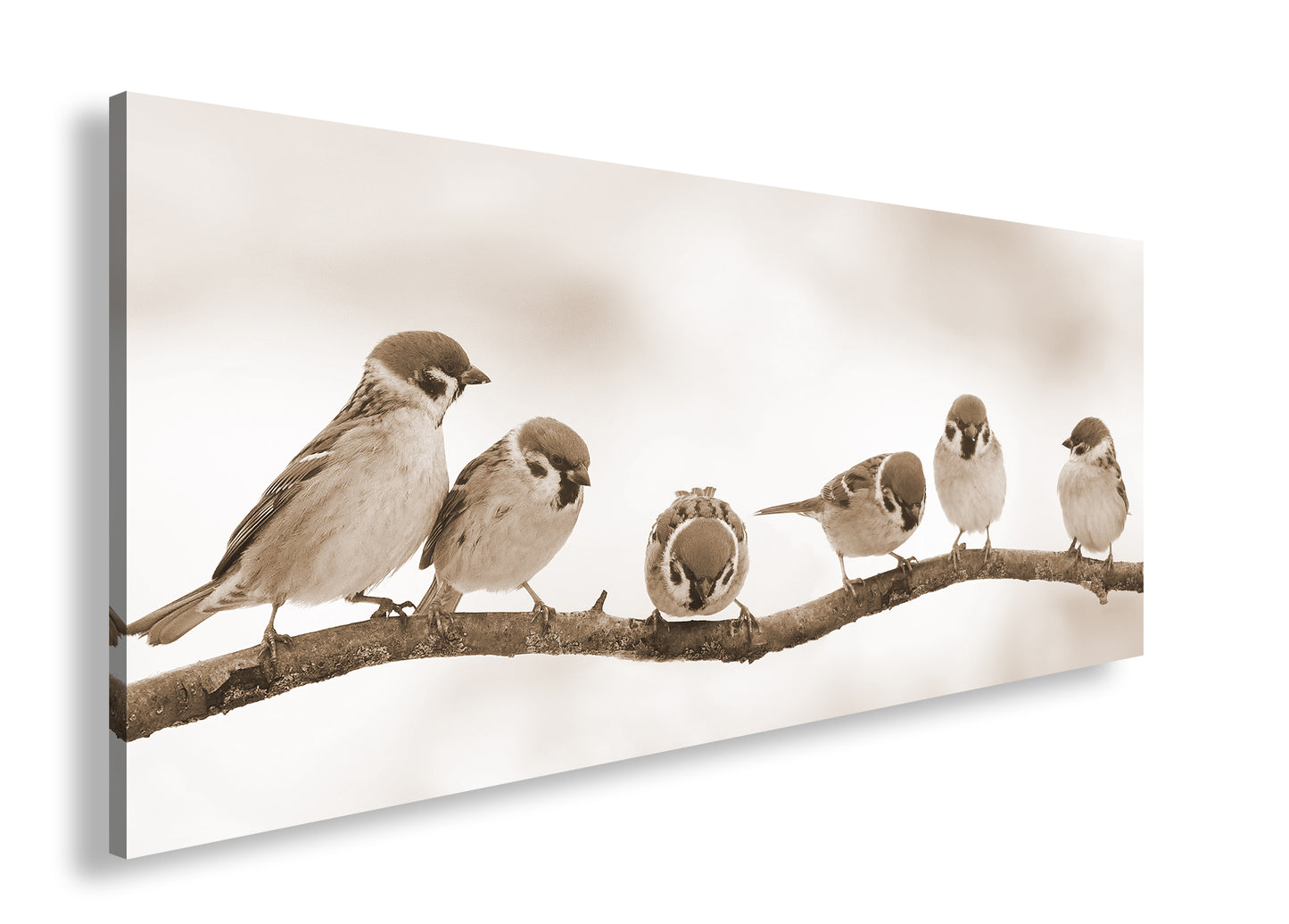 Hauptbild Sepia Panorama