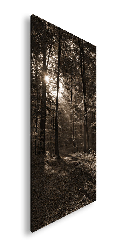 Hauptbild Sepia Panorama