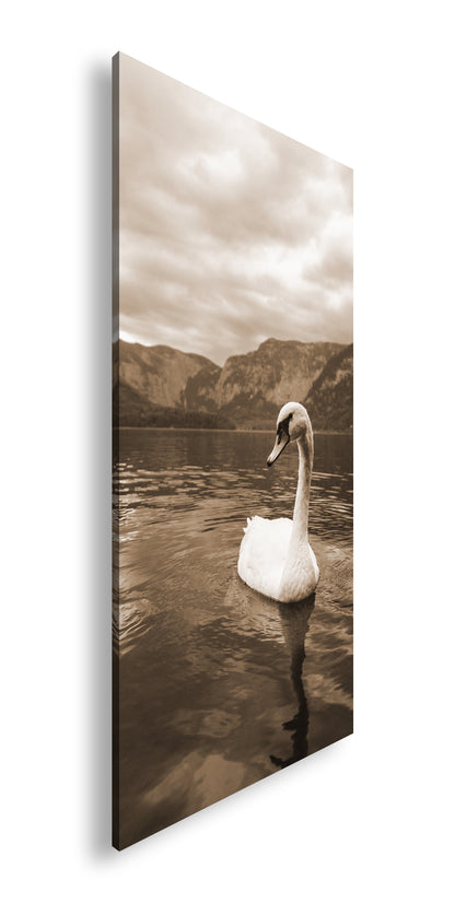 Hauptbild Sepia Panorama