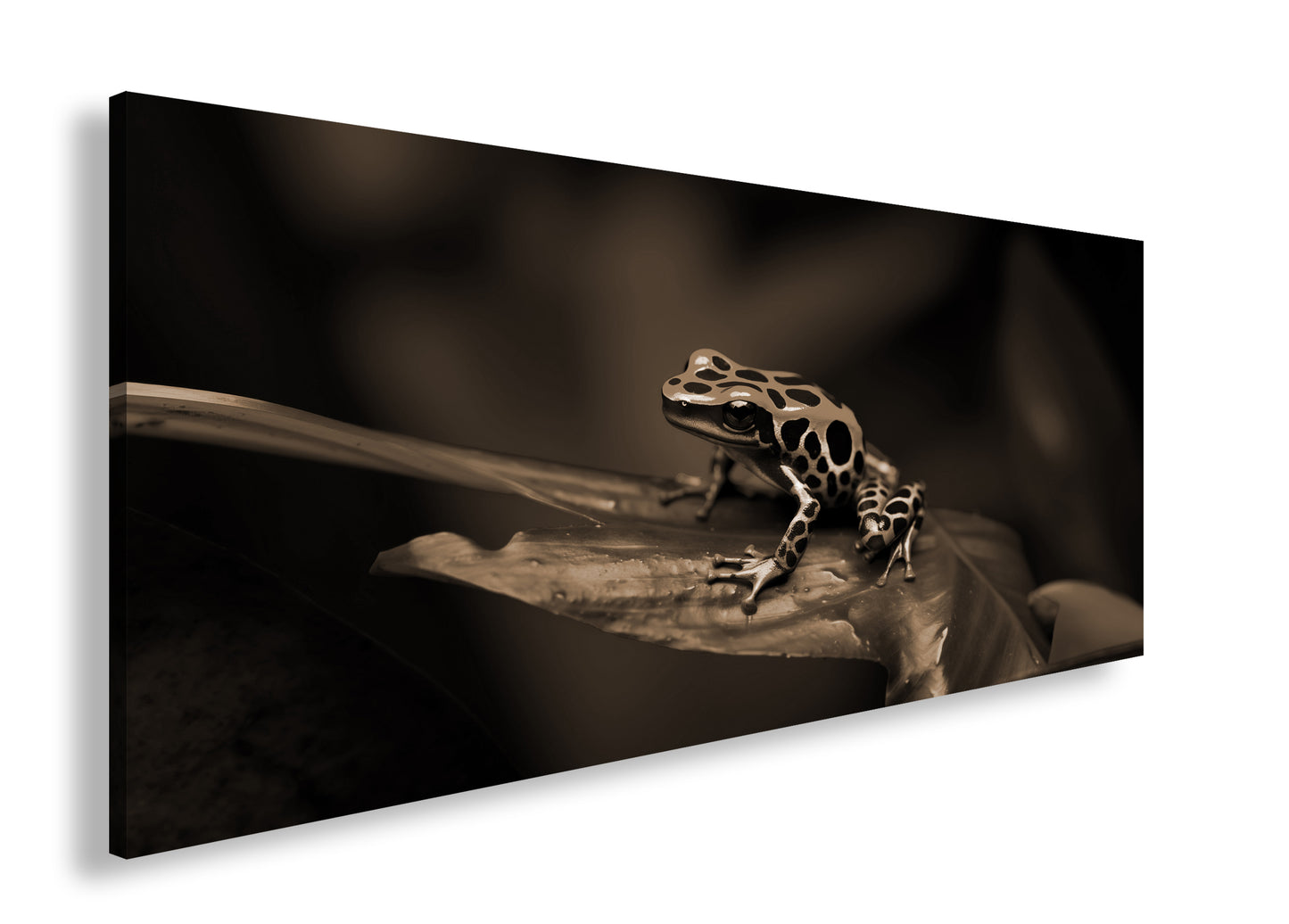 Hauptbild Sepia Panorama