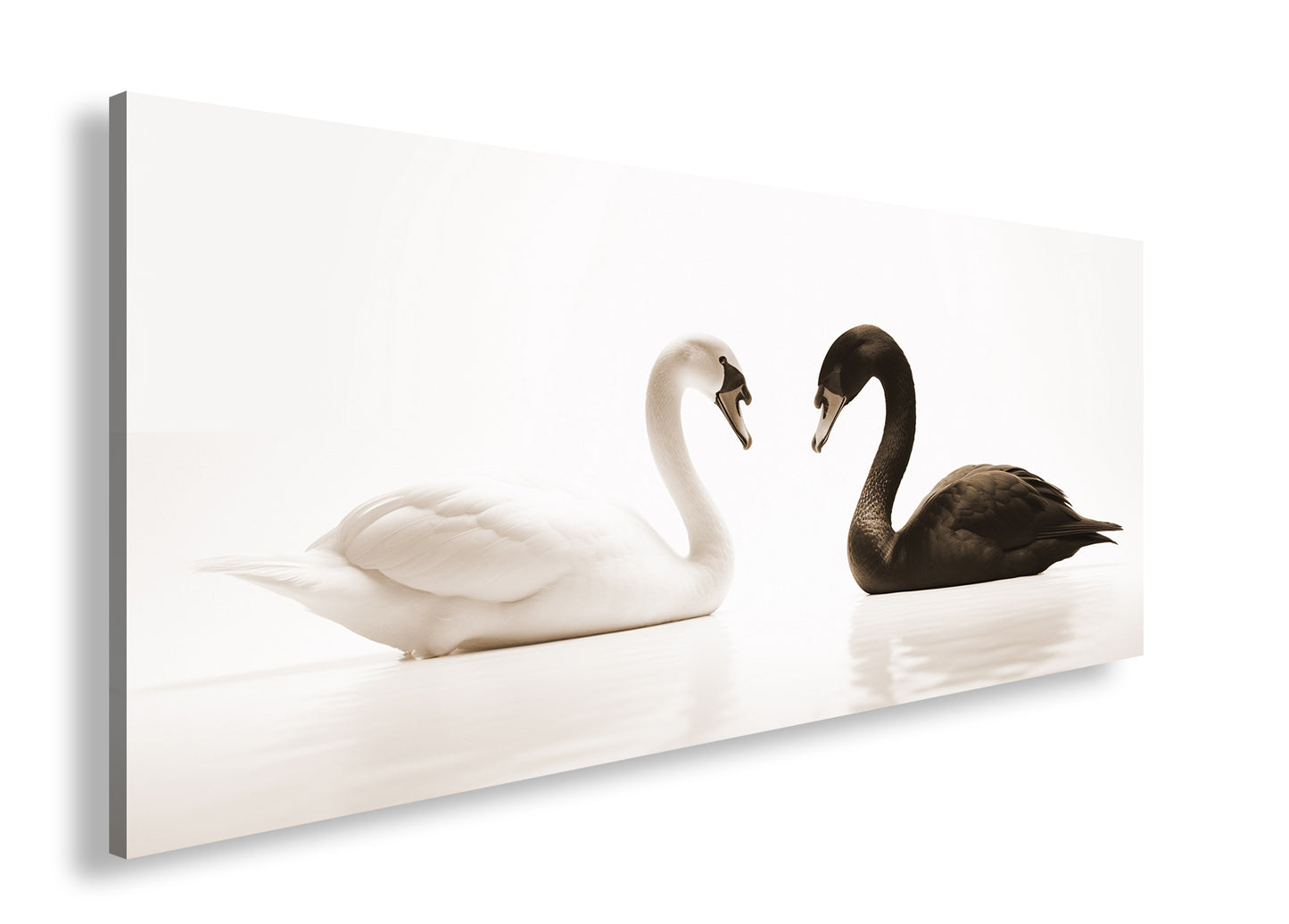 Hauptbild Sepia Panorama