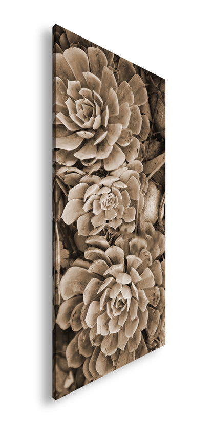 Hauptbild Sepia Panorama