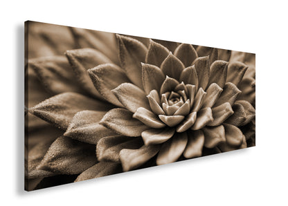 Hauptbild Sepia Panorama