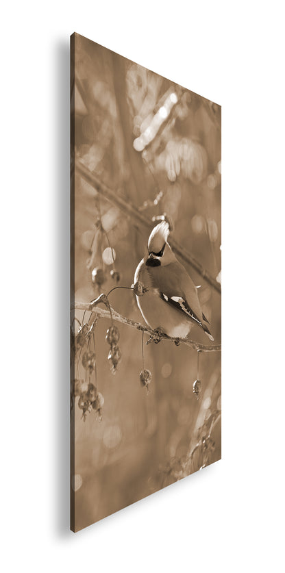 Hauptbild Sepia Panorama