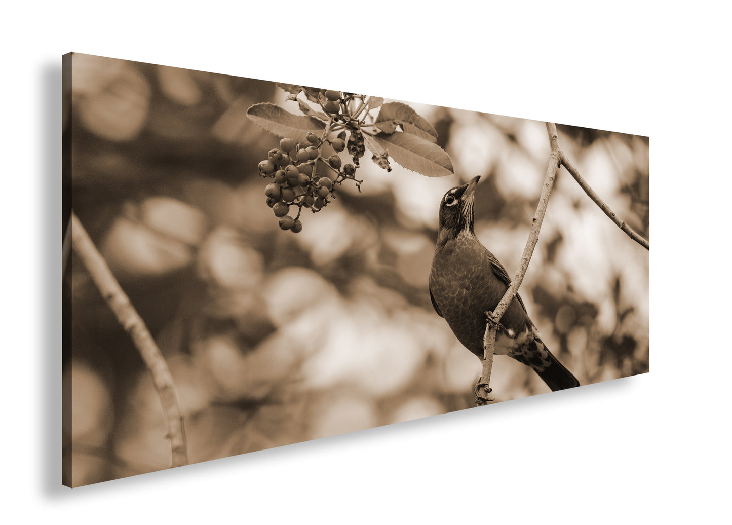 Hauptbild Sepia Panorama