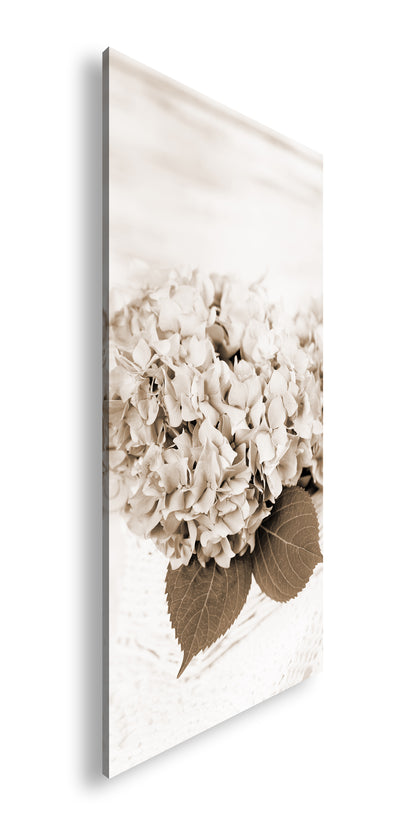 Hauptbild Sepia Panorama