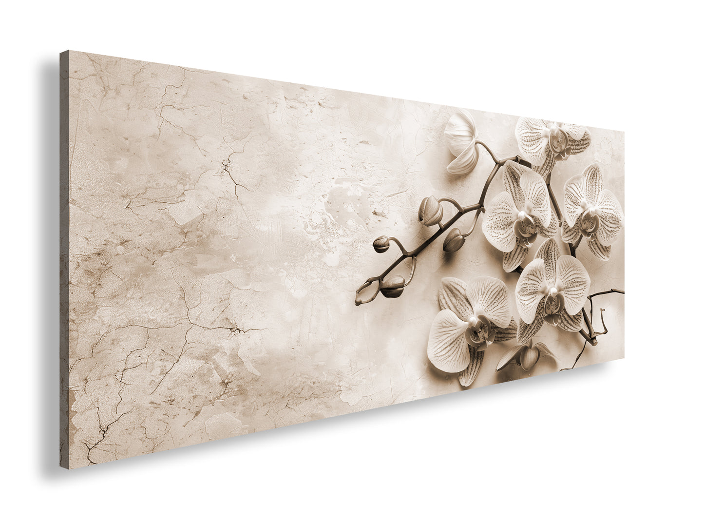 Hauptbild Sepia Panorama