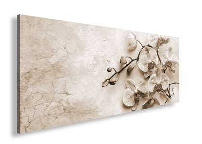 Hauptbild Sepia Panorama