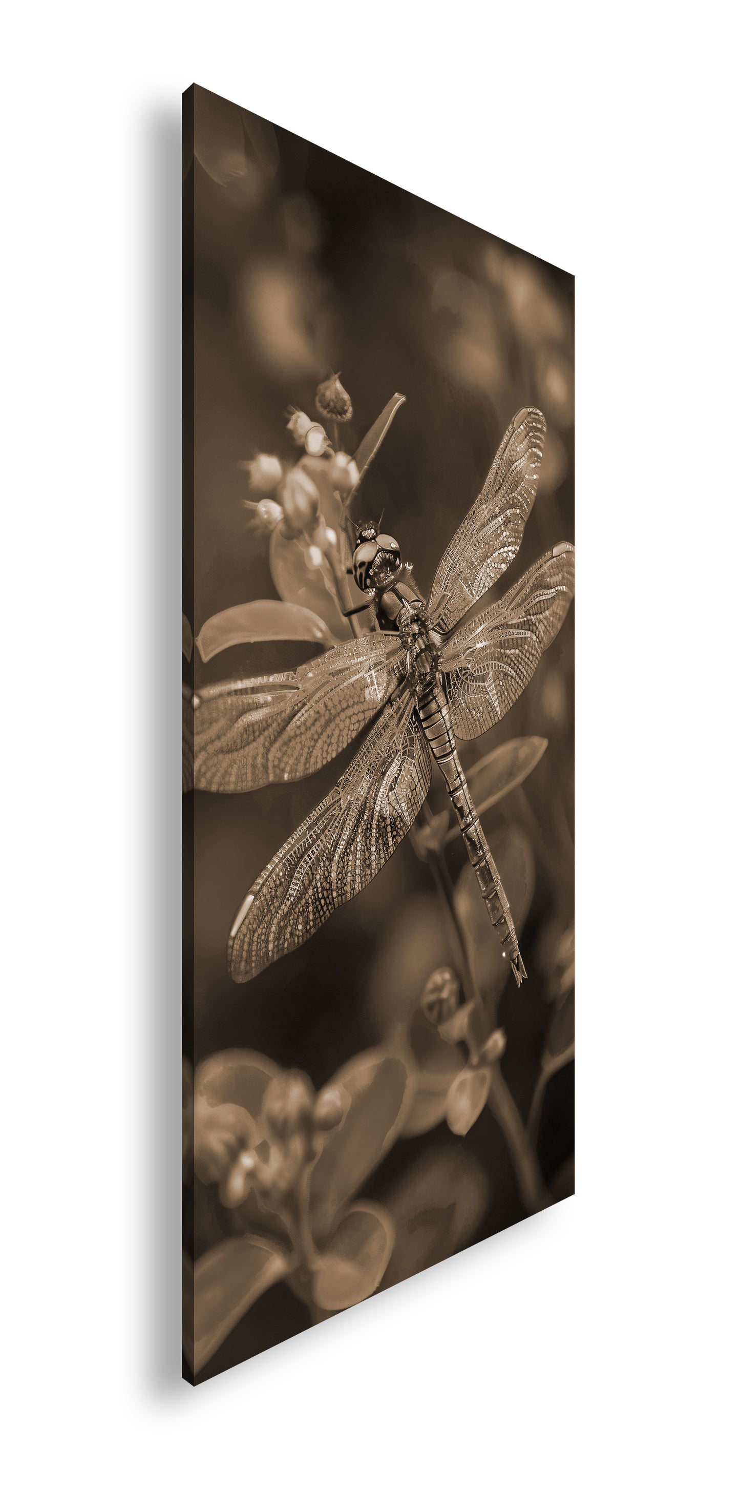 Hauptbild Sepia Panorama