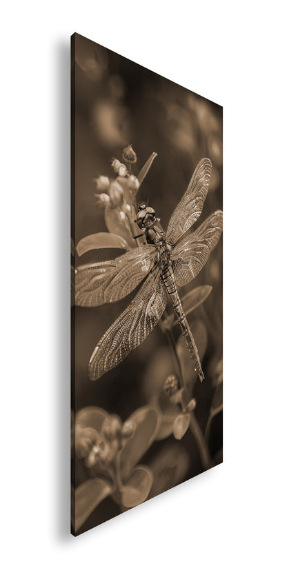 Hauptbild Sepia Panorama