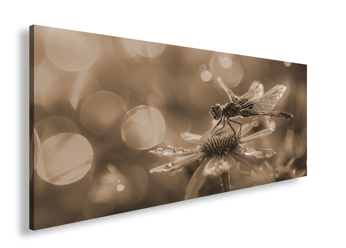 Hauptbild Sepia Panorama