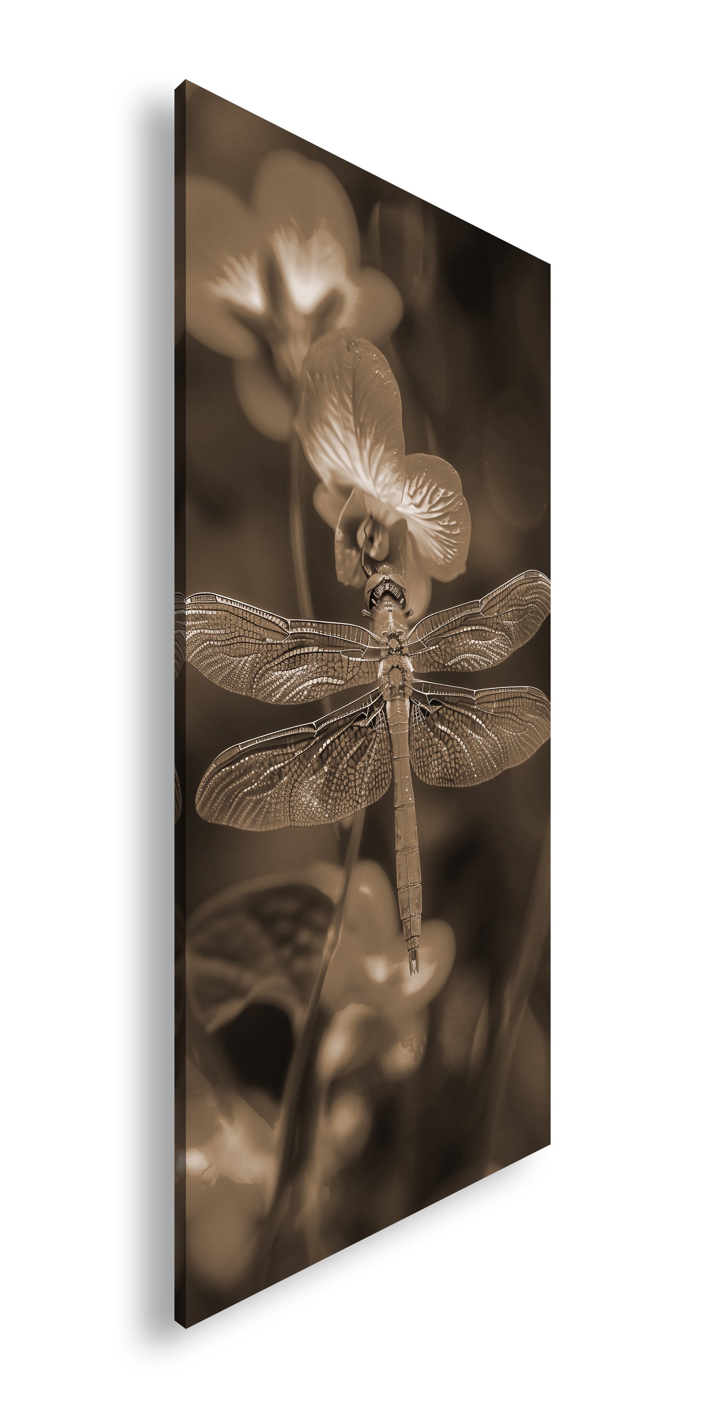 Hauptbild Sepia Panorama
