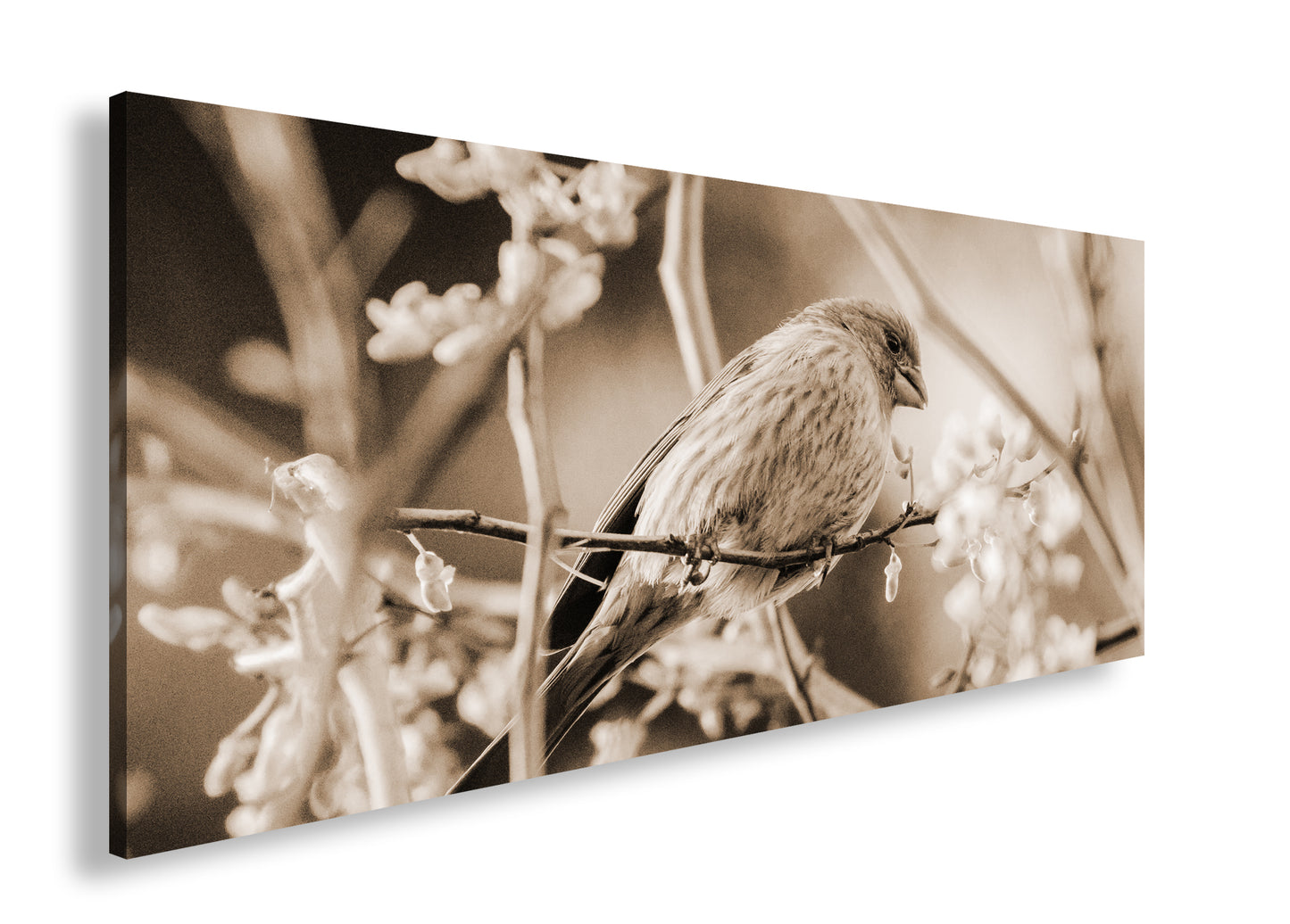 Hauptbild Sepia Panorama