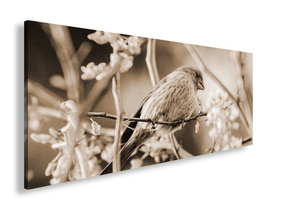 Hauptbild Sepia Panorama