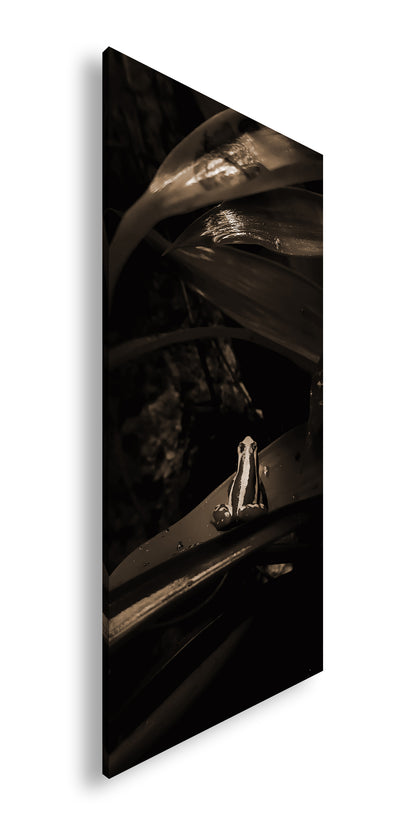 Hauptbild Sepia Panorama