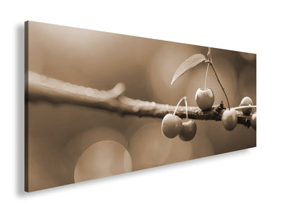 Hauptbild Sepia Panorama