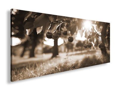 Hauptbild Sepia Panorama