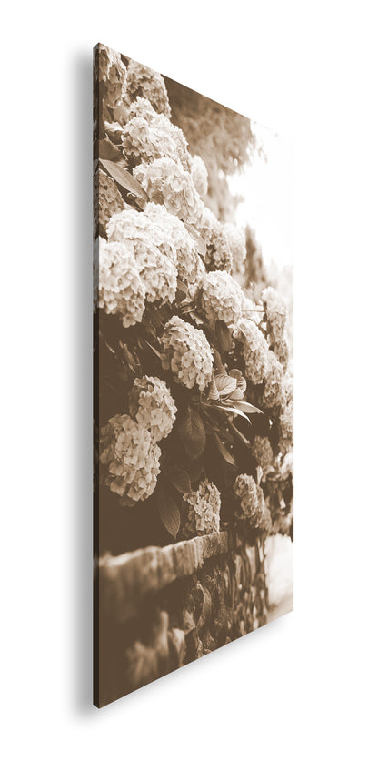 Hauptbild Sepia Panorama