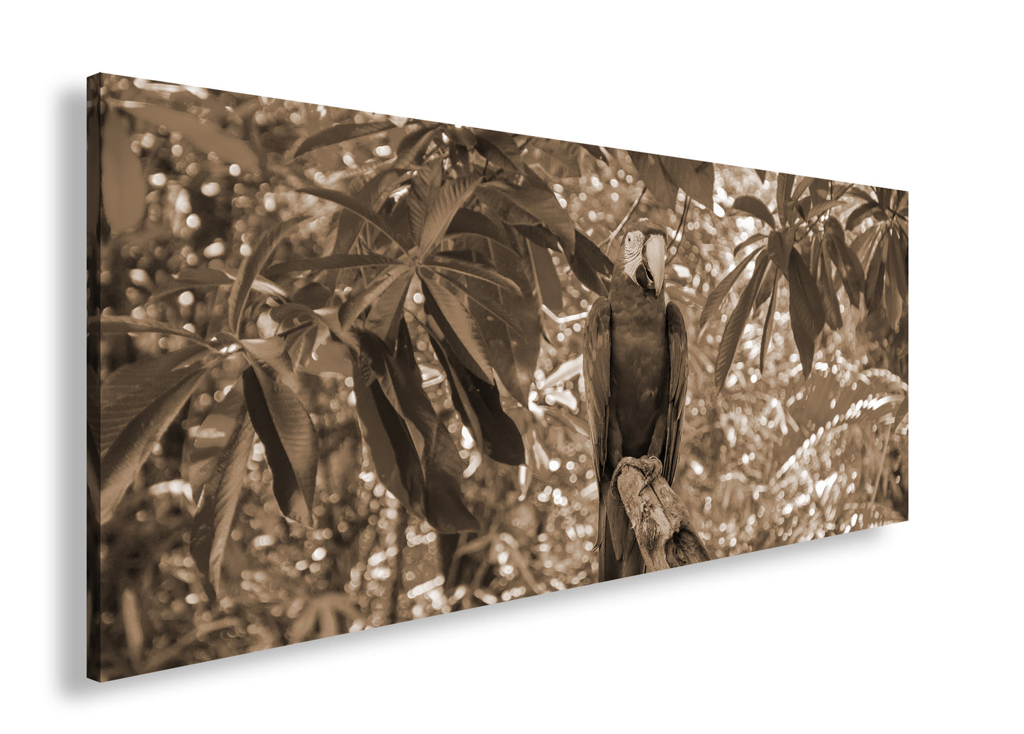 Hauptbild Sepia Panorama