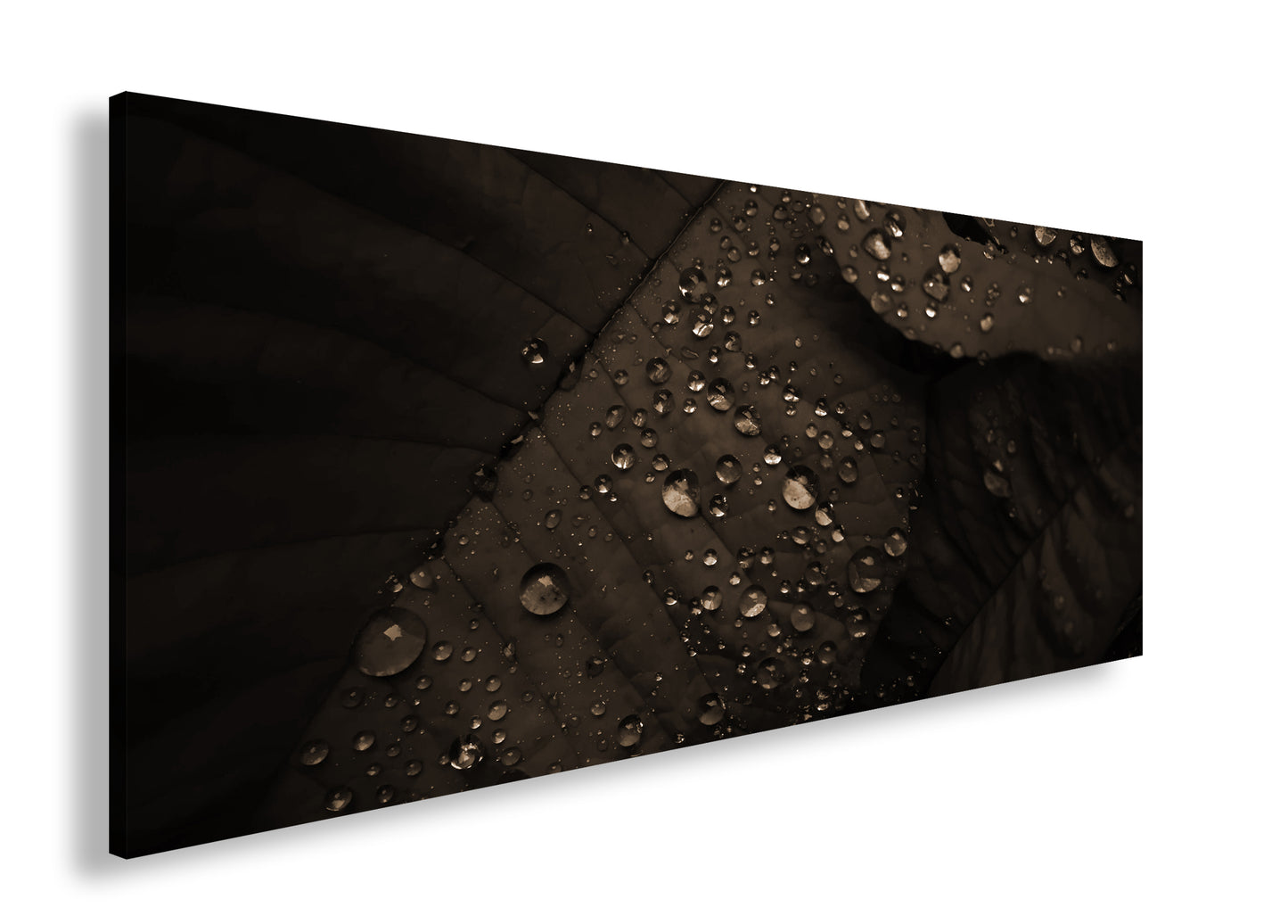 Hauptbild Sepia Panorama