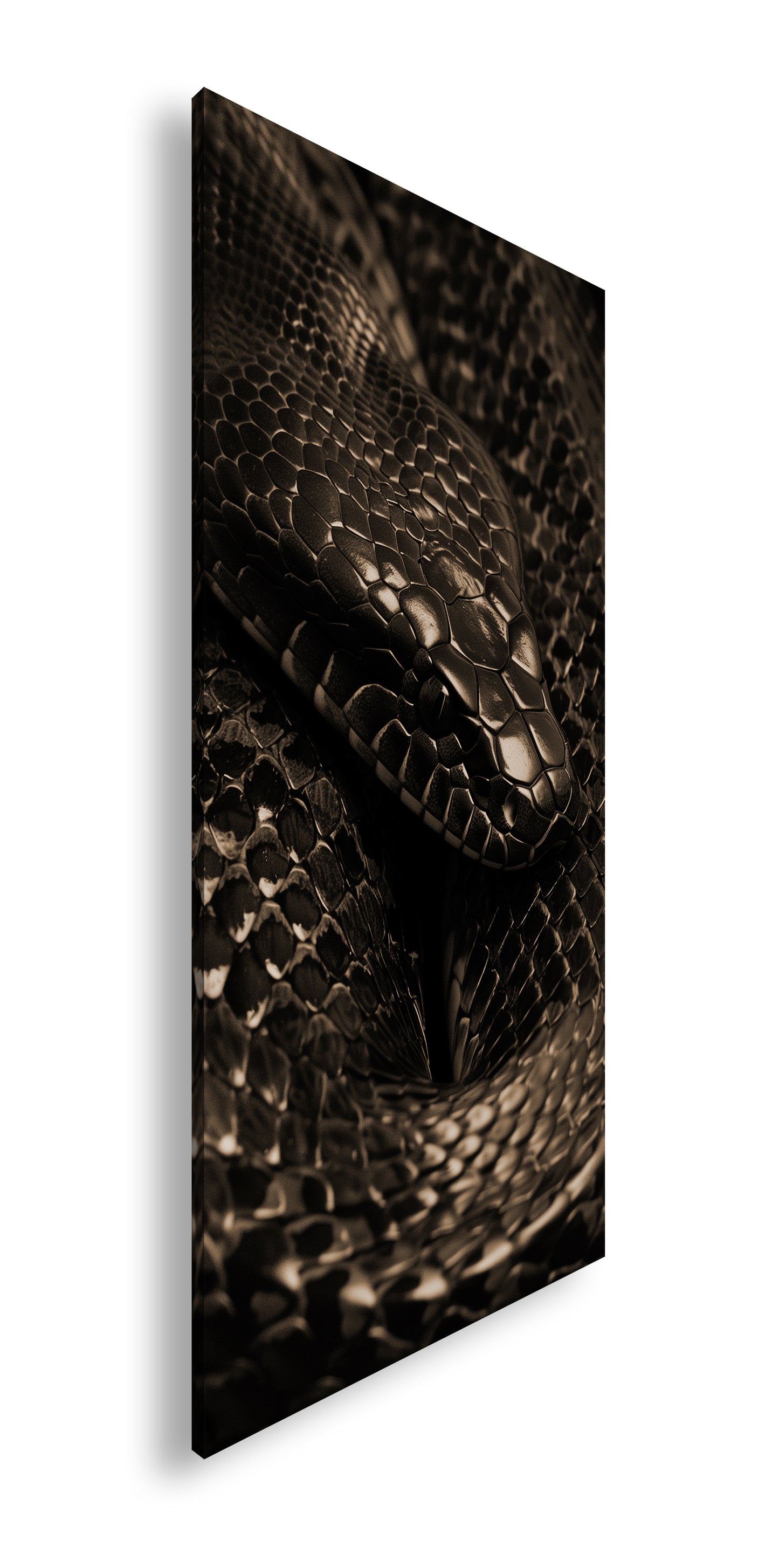 Hauptbild Sepia Panorama