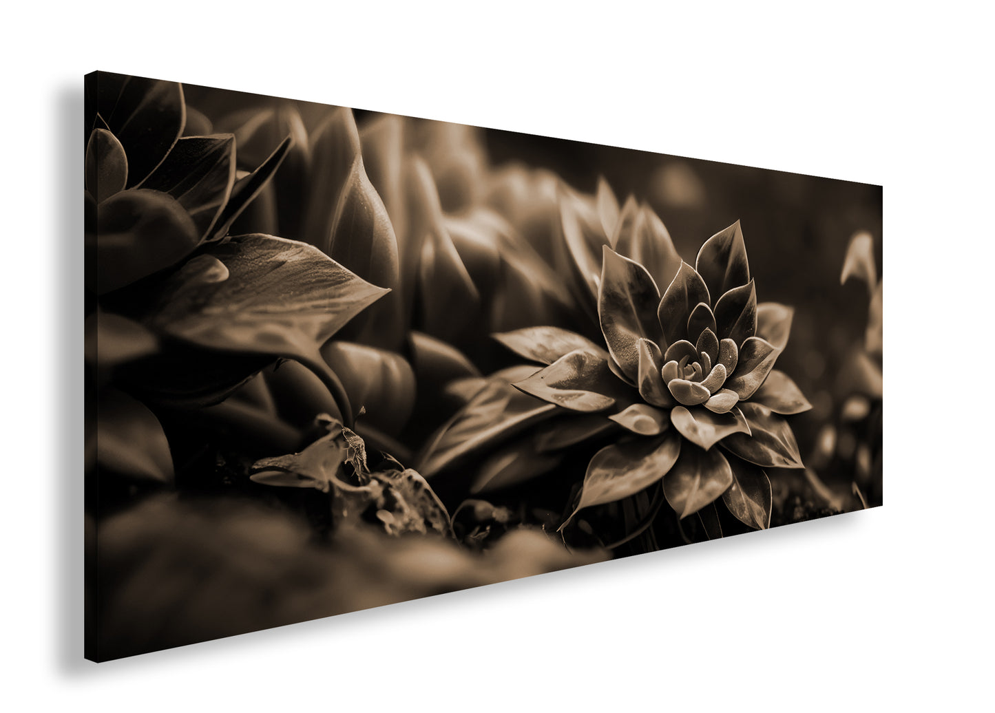 Hauptbild Sepia Panorama