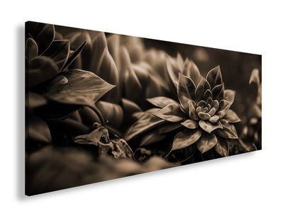 Hauptbild Sepia Panorama