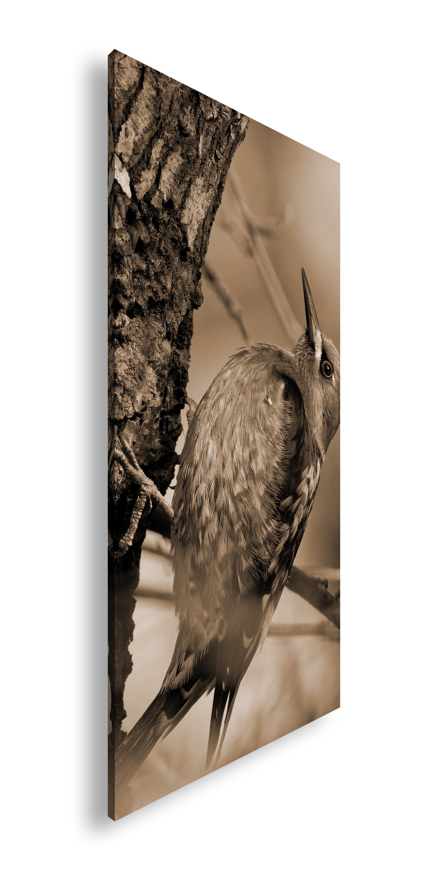 Hauptbild Sepia Panorama