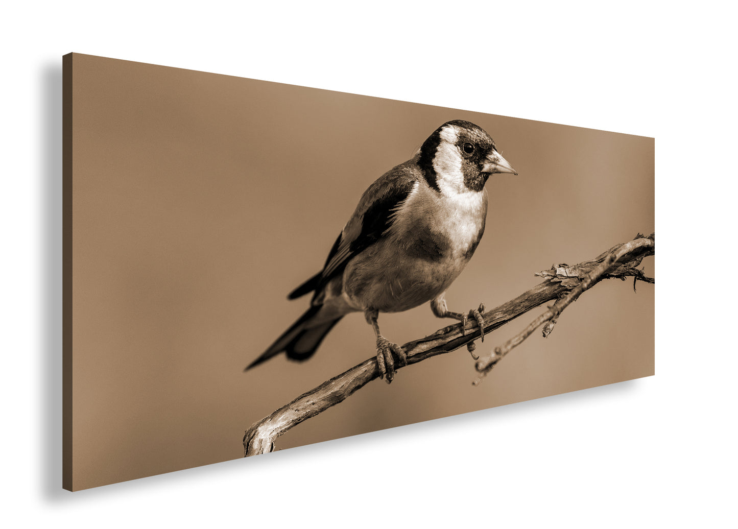 Hauptbild Sepia Panorama