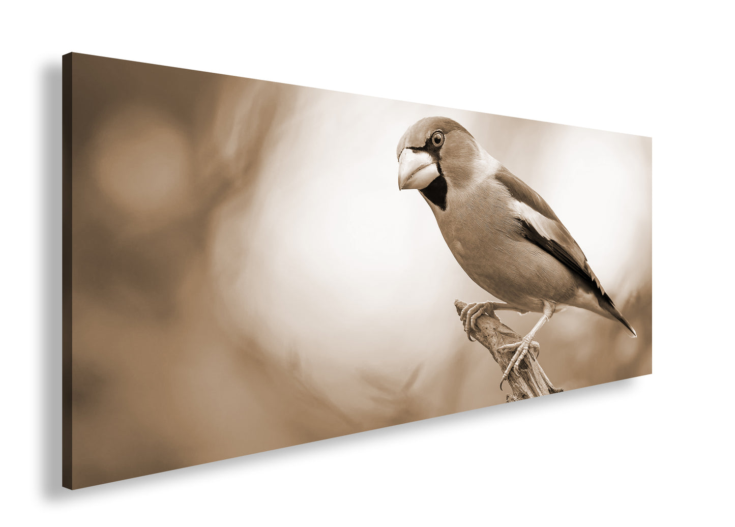 Hauptbild Sepia Panorama